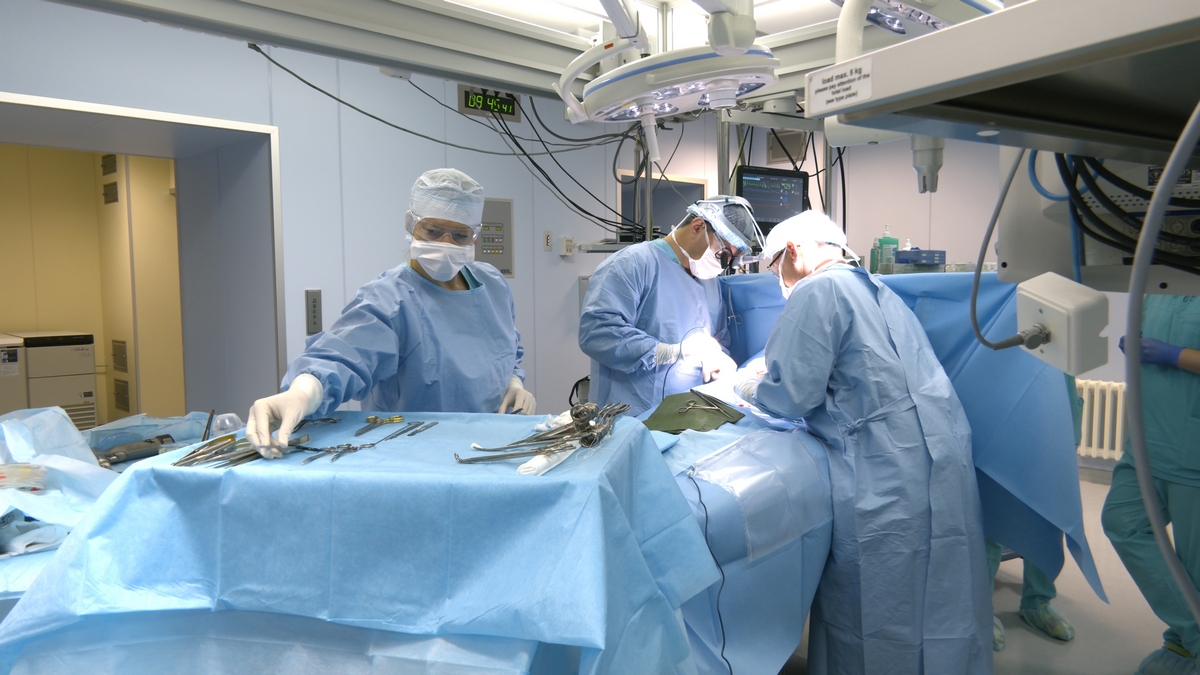 Хапаев ТС_Для ТВ_00_02_12_30.jpg Хапаев ТС_Для ТВ_00_02_12_30.jpg